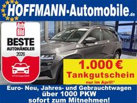 Neu Skoda Karoq Selection 150 PS (110 kW) 2025 Grau SUV