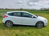 gebraucht Ford Focus 1,5TDCi 77kW 105 PS.