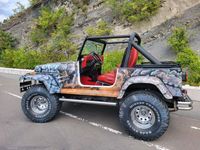 gebraucht Jeep Wrangler 4.0 Geiger Umbau