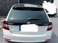 Gebraucht Skoda Rapid 86 PS (63 kW) 2014 Weiß Kleinwagen