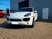 Gebraucht Porsche Cayenne 245 PS (180 kW) 2012 Weiß SUV