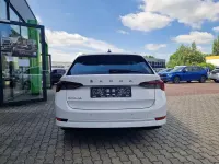 Gebraucht Skoda Octavia 116 PS (85 kW) 2023 Candyweiss Kombi