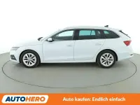 Gebraucht Skoda Octavia First Edition 150 PS (110 kW) 2020 Bila moon/moon white Kombi