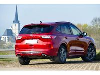 Gebraucht Ford Kuga ST-Line 152 PS (111 kW) 2022 Lucidrot metallic (metallic) SUV