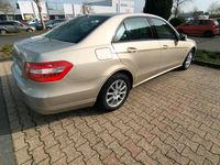 Gebraucht Mercedes E250 204 PS (150 kW) 2009 Gold Limousine