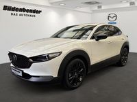 Neu Mazda CX-30 Nagisa 140 PS (102 kW) 2025 SUV