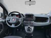 Gebraucht Fiat Panda 69 PS (50 kW) 2024 Schwarz Kleinwagen