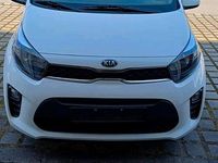 Gebraucht Kia Picanto 84 PS (61 kW) 2018 Weiß Kleinwagen