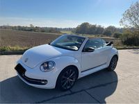 Gebraucht VW Beetle Cabriolet Cup 105 PS (77 kW) 2014 Weiß Cabrio