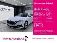 Gebraucht Skoda Octavia Style 116 PS (85 kW) 2023 Candyweiß Kombi