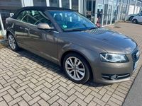 Gebraucht Audi A3 Cabriolet Ambition 105 PS (77 kW) 2010 Grau Cabrio