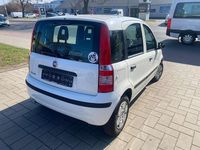 Gebraucht Fiat Panda Active 54 PS (39 kW) 2009 Weiß Kleinwagen