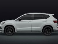 Neu Cupra Ateca 190 PS (139 kW) 2025 Glacial weiss metallic SUV