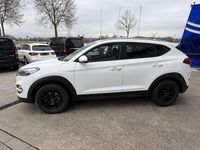 Gebraucht Hyundai Tucson Trend 132 PS (97 kW) 2017 Weiß SUV