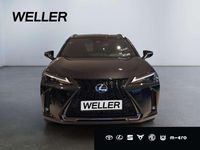 Neu Lexus UX 300h 199 PS (146 kW) 2025 Schwarz SUV