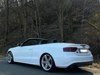 Gebraucht Audi Cabriolet 333 PS (244 kW) 2009 Weiß Cabrio