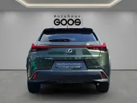 Gebraucht Lexus UX 250h 184 PS (135 kW) 2023 Grün SUV
