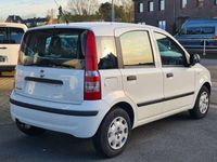 gebraucht Fiat Panda 1.2 8V MyLive *KLIMA* 86.TKM* TÜV 03/2025*