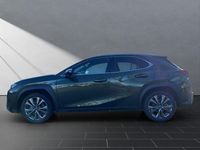 Gebraucht Lexus UX 250h Sport Line 152 PS (111 kW) 2024 Grün SUV