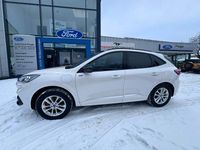 Gebraucht Ford Kuga ST-Line X 224 PS (164 kW) 2023 Weiß SUV