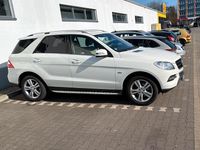 Gebraucht Mercedes ML350 258 PS (189 kW) 2012 Weiß SUV