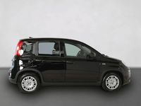 Gebraucht Fiat Panda 69 PS (50 kW) 2024 Schwarz Limousine