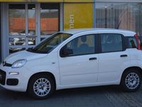 Gebraucht Fiat Panda Urban 69 PS (50 kW) 2020 Weiß Kleinwagen