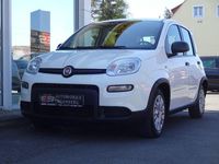 Occasion Fiat Panda 69 ch (50 kW) 2022 Blanc Citadine