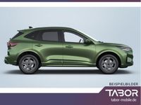 Neu Ford Kuga ST-Line 182 PS (133 kW) 2025 Grün (bursting green metallic) SUV