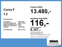 Gebraucht Opel Corsa Edition 101 PS (74 kW) 2022 Aluminium silber (metallic) Kleinwagen