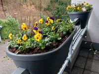 Gebraucht Mercedes E220 177 PS (130 kW) 2005 Silber Limousine