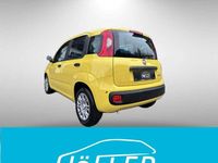 Neu Fiat Panda 69 PS (50 kW) 2025 Gelb Kleinwagen