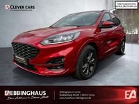 Gebraucht Ford Kuga ST-Line 150 PS (110 kW) 2021 Rot SUV