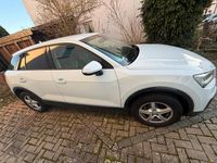 Gebraucht Audi Q2 116 PS (85 kW) 2017 Weiß SUV