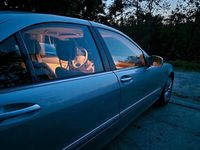 Gebraucht Mercedes S500 306 PS (225 kW) 2000 Silber Limousine