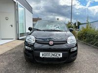 Neu Fiat Panda 69 PS (50 kW) 2025 Schwarz Limousine