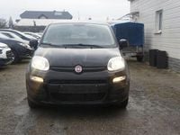 Gebraucht Fiat Panda Pop 69 PS (50 kW) 2016 Schwarz Kleinwagen