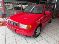 Usata VW Polo 60 CV (44 kW) 1997 Rosso
