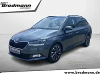 Gebraucht Skoda Fabia Drive 110 PS (80 kW) 2020 Grau Kleinwagen