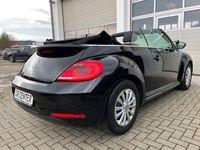 gebraucht VW Beetle Cabriolet *1-HAND* 28.450 Km.*