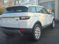 Gebraucht Land Rover Range Rover evoque 150 PS (110 kW) 2017 Weiß SUV