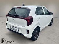 Gebraucht Kia Picanto Vision 63 PS (46 kW) 2025 Weiß Kleinwagen