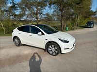 Occasion Tesla Model Y Standard Range 220 kW (300 ch) 2023 Blanc SUV
