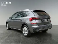 Gebraucht Skoda Kamiq Selection 116 PS (85 kW) 2025 Grau SUV