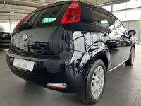 gebraucht Fiat Punto More Erste Hand Klima Shz Tempomat PDC