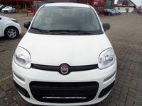 Neu Fiat Panda S 69 PS (50 kW) 2025 Weiß Kleinwagen