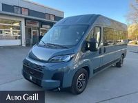Gebraucht Fiat Ducato 179 PS (131 kW) 2025 Grau lanzarote grau Van