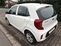 Gebraucht Kia Picanto Attract 67 PS (49 kW) 2018 Weiß Kleinwagen