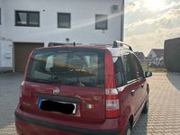 Gebraucht Fiat Panda 60 PS (44 kW) 2008 Rot Kleinwagen