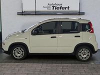 Gebraucht Fiat Panda 69 PS (50 kW) 2023 Weiß Limousine